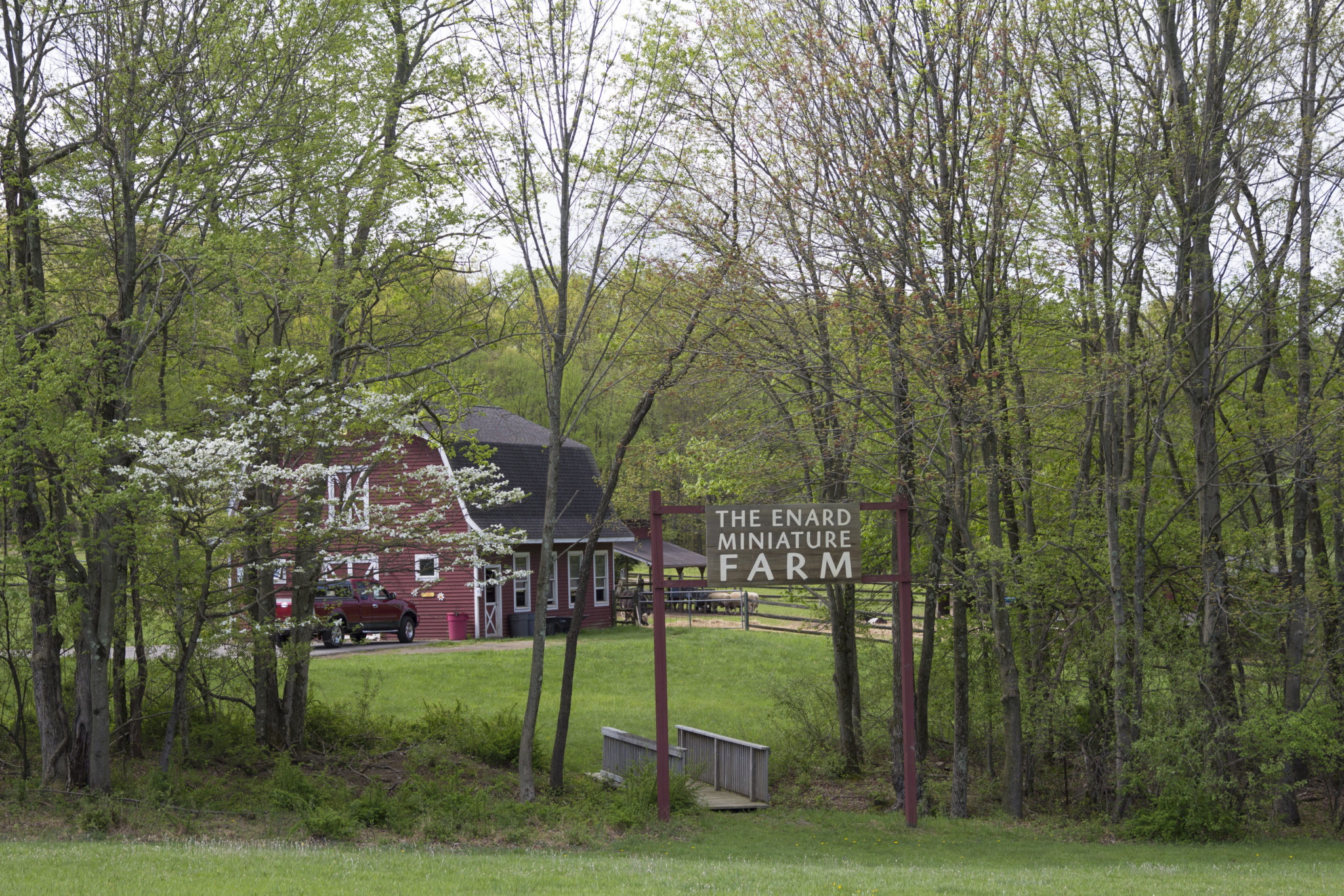 Farm Camp Tecumseh